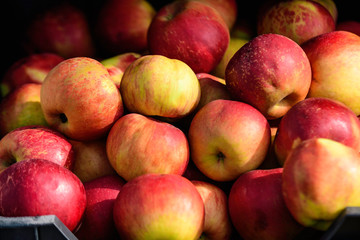 Group of fresh red apples displayed for sale at a street food market in Bucharest, Romania, natural background, soft focus