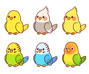 Small pet birds set