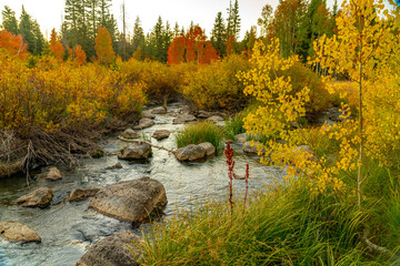 Rocks in Duck Creek