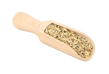 Dry fennel in scoop