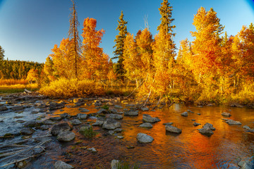 Duck Creek Flows Through the Aspen as the Sun Sets