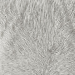 White wool rug closeup on a white background. 3D rendering