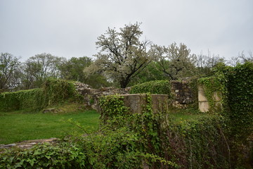 ruins of old abbey in Hungary