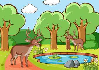 Obraz na płótnie Canvas Scene with deers in forest