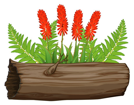 red flowers and green ferns on wooden log clip art preview