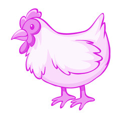 Pink chicken on white background