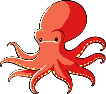 Red octopus on white background