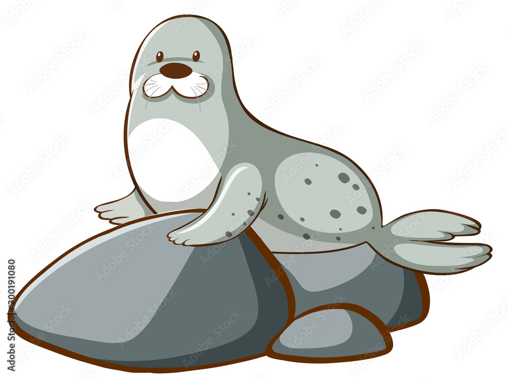 Sticker isolated picture of cute seal