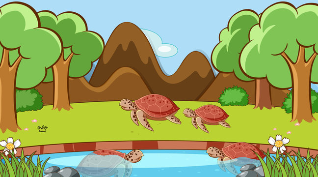 Scene with turtles in the park