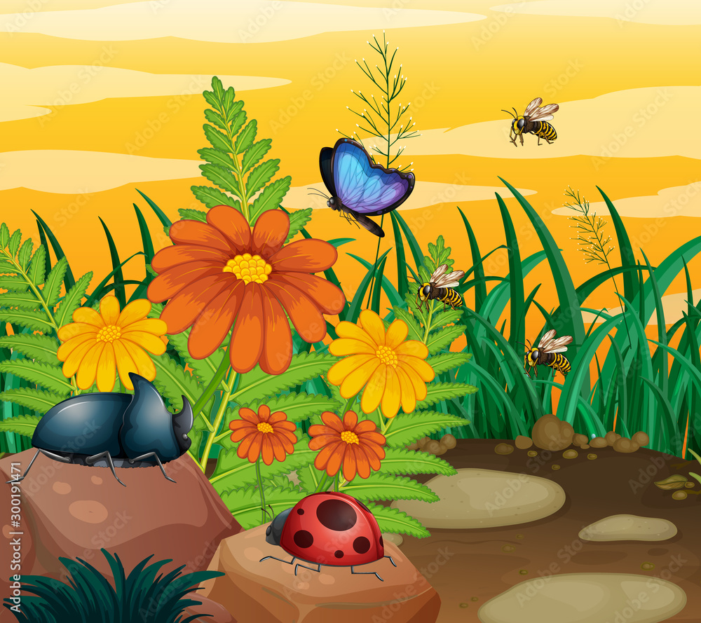 Canvas Prints Background scene with insects in the park