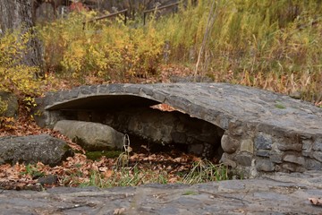 Petit pont dans un parc
