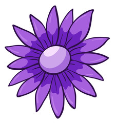 Single flower in purple color