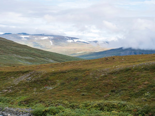 Fototapeta na wymiar Landscap of Lapland nature at Kungsleden hiking trail with reindeers, colorful mountains, rocks, autumn colored bushes, birch tree and heath in dramatic light and clouds