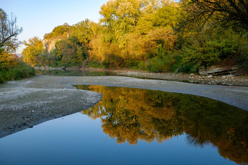 Danube wetland 4