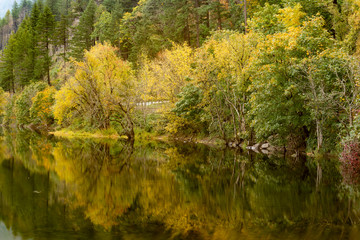 Benson Lake in the Columbia Gorge, Oregon, Taken in Autumn