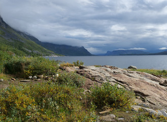 Fototapeta premium view on Akkajaure lake with green mountains, rock boulders, bushes, birch tree and dramatic clouds