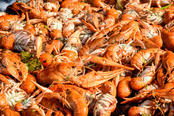 Freshly cooked European crayfishes Astacus astacus(noble or broad-fingered crayfish, the most common species of crayfish in Europe) with spices displayed for sale at a street food festival