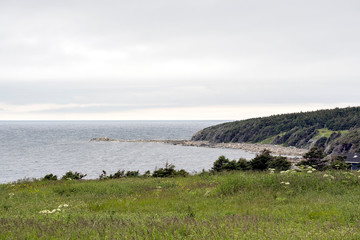Cove