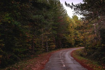 Limbara mountain, mountain landscape of Sardinia, Olbia-Tempio.