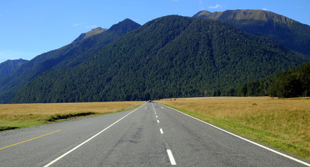 Fototapeta premium Eglington Valley and road to Milford Sound, Fiordland, New Zealand
