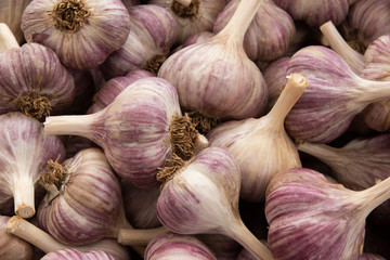 Garlic in a Farm Stand in Hood River, Oregon