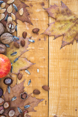 Autumn composition with fresh fruits, nuts and leaves