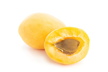 apricot on white background