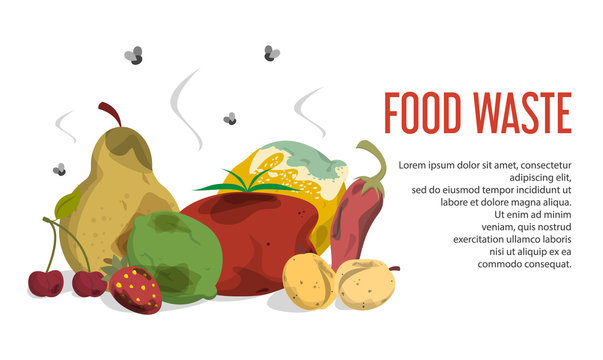 Food waste web banner vector isolated. Organic garbage