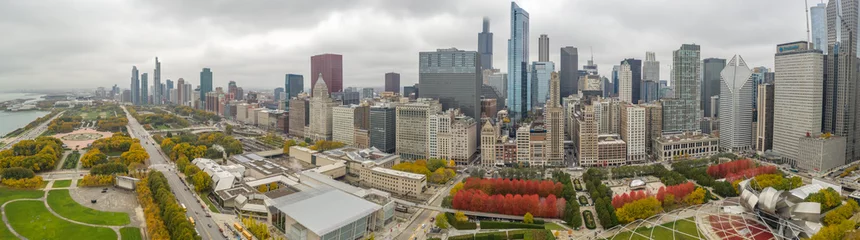 Tuinposter Chicago downtown buildings skyline fall foliage aerial drone © blvdone
