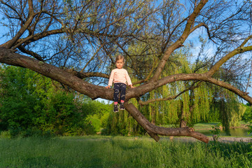 Sweet little girl sitting on tree outdoor in nature