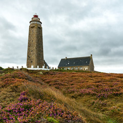 view of the Cap Levi lighthouse and heath on the north coast of Normandy in France