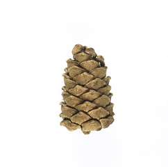 golden christmas tree cone isolated on white background