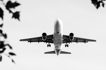 landing in nature