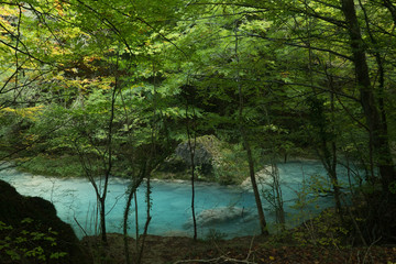 Autumn beautiful blue river with green trees