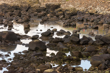 Giant's Causeway afternoon view, Northen Ireland, United Kingdom
