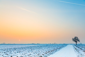 Sonnenaufgang auf verschneiten Feldern