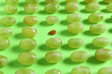Raisin among grapes on color background. Concept of uniqueness