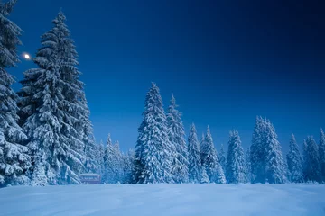 Poster Majestueus winterlandschap met besneeuwde sparren. Winterse ansichtkaart. © belyaaa