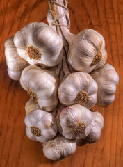 Garlic bulbs