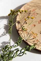 handmade clay plate with prints of plants