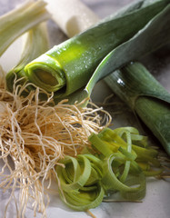 Leek vegetable closeup