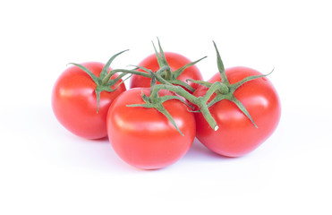 freshly picked bunch of tomatoes