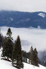 Beautiful rising fog in winter mountain landscape.