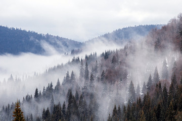 Fototapety  Beautiful rising fog in winter mountain landscape.