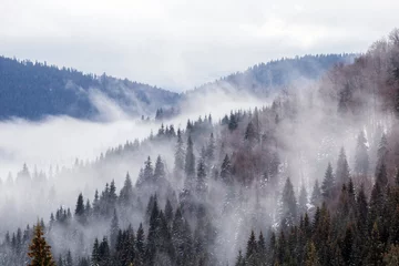Wandaufkleber Wald im Nebel Beautiful rising fog in winter mountain landscape.