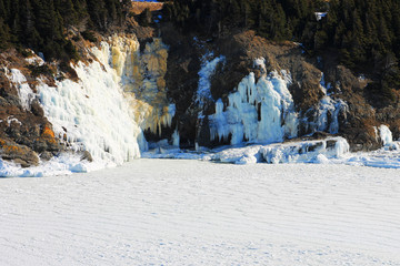 Heavy slob ice in the bay, and ice on the cliff face and beach, Middle Cove Beach, Newfoundland, Canada