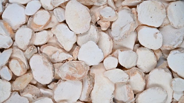 top view herb medicine ShengBanXia or Pinelliae Rhizoma or raw Ternate Pinellia rotate and pause
