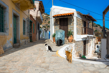 Narrow street with colorful stone houses in the old village of Pano Elounda, Crete, Greece. 