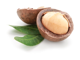 Tasty macadamia nut on white background