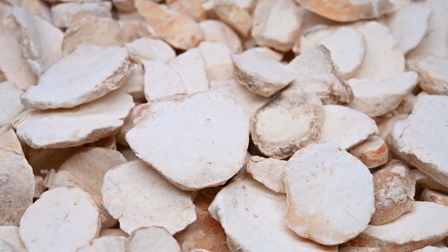 side view herb medicine ShengBanXia or Pinelliae Rhizoma or raw Ternate Pinellia rotate and pause